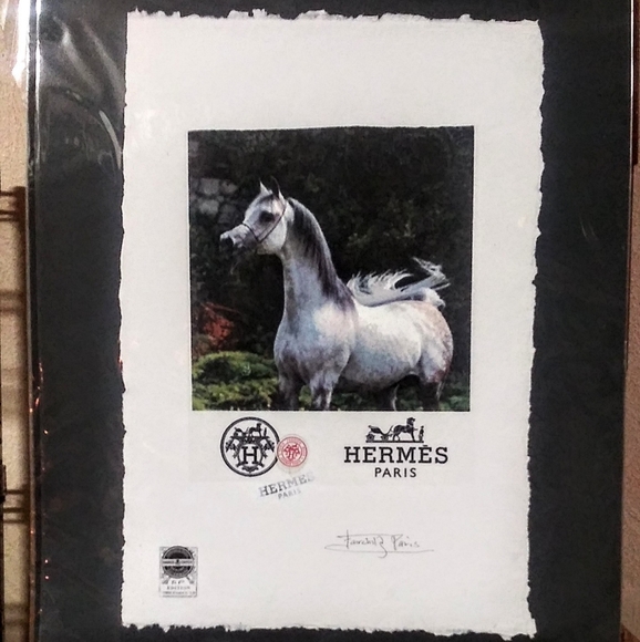 HERMÉS, Arabian Stallion Print, By Fairchild Paris - Picture 4 of 12